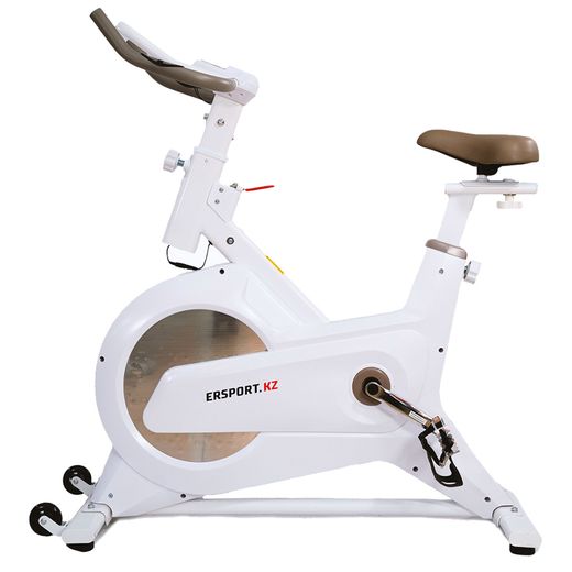 Велотренажер ERSPORT Spin Bike D9 v2.0 белый