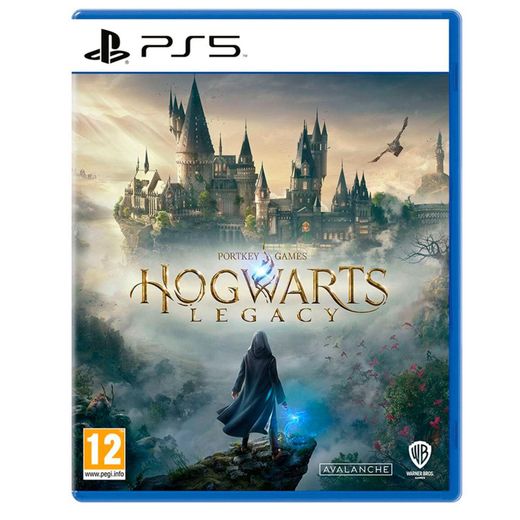 Игра для PS5 Hogwarts Legacy (2190004999344)