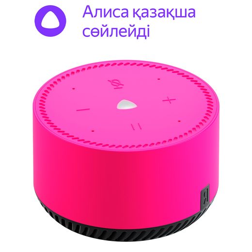 Умная колонка Яндекс Станция Лайт, Фламинго (YNDX-00025-PINK)
