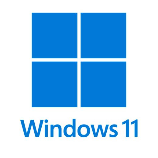 Microsoft Windows 11 Professional 64-bit All Lng PK Lic Online DwnLd NR (ESD)
